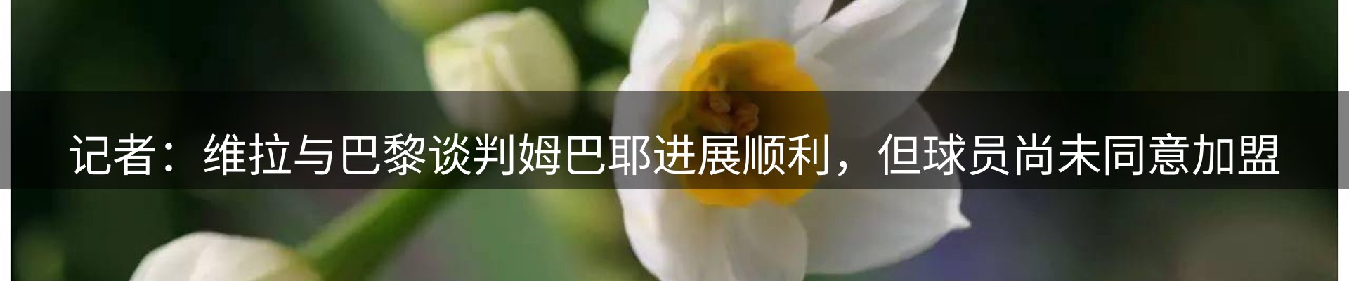 资讯阵地